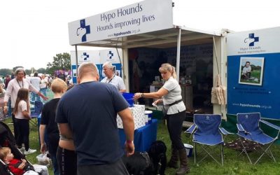 Paws in the Park proves a massive success