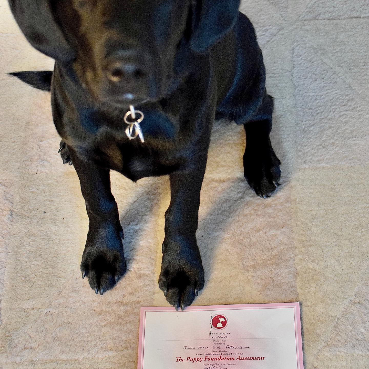 Congratulations Nemo!