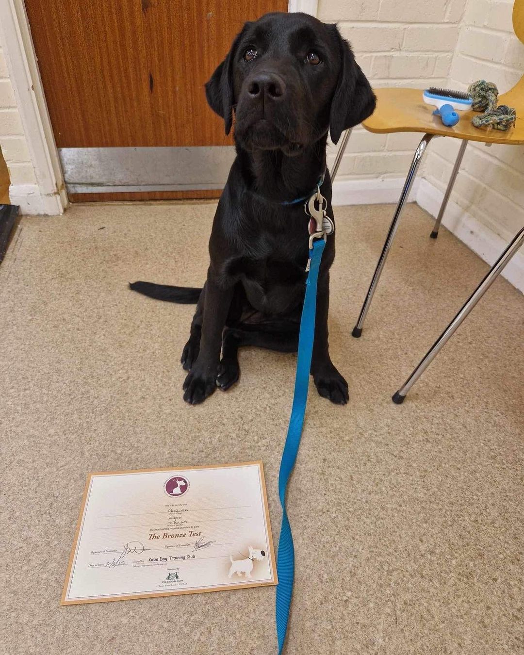 Congratulations Aurora!