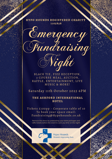 Gala-Night-Invitation-Web Emergency Fundraising Gala 2025
