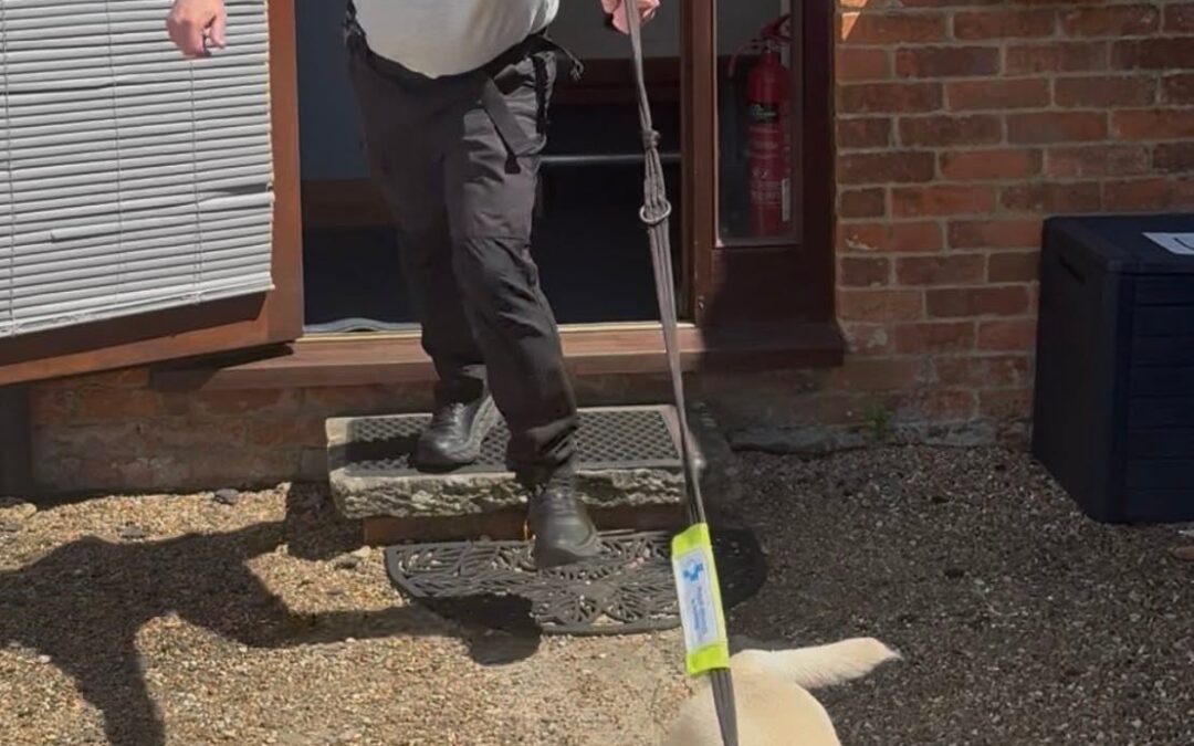 Move Over Jason Statham, Our Trainer Has the Stunts Covered