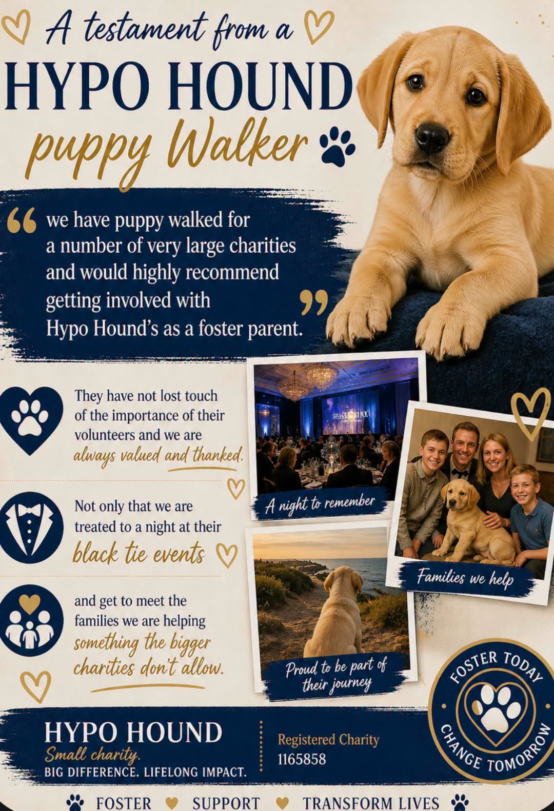 Live in Tenterden or Ashford? We Need Advanced Puppy Parents