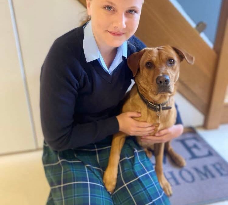 Meet Leia, Our First Ever Companion Dog