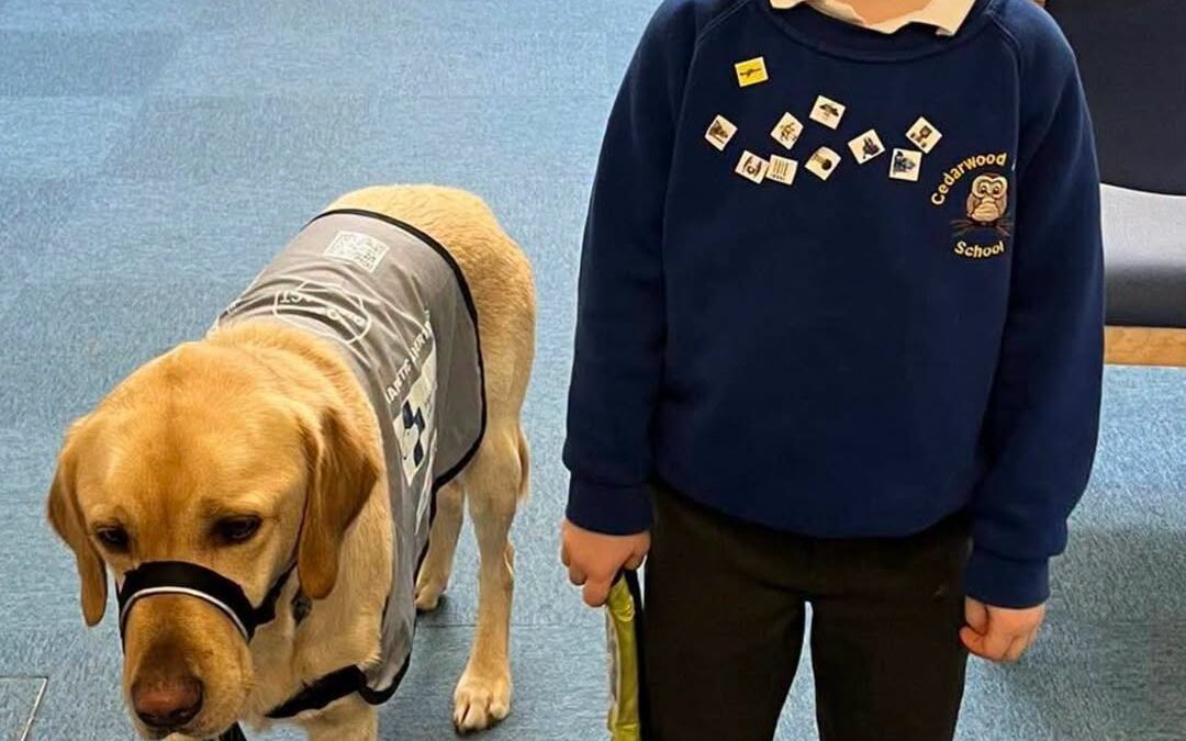 More Than Best Friends: Team Woody’s Special Bond