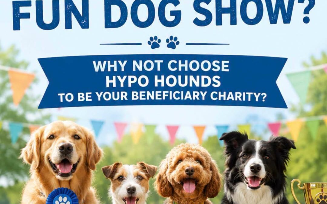 Hosting a Fun Dog Show? Make Hypo Hounds Your Chosen Charity