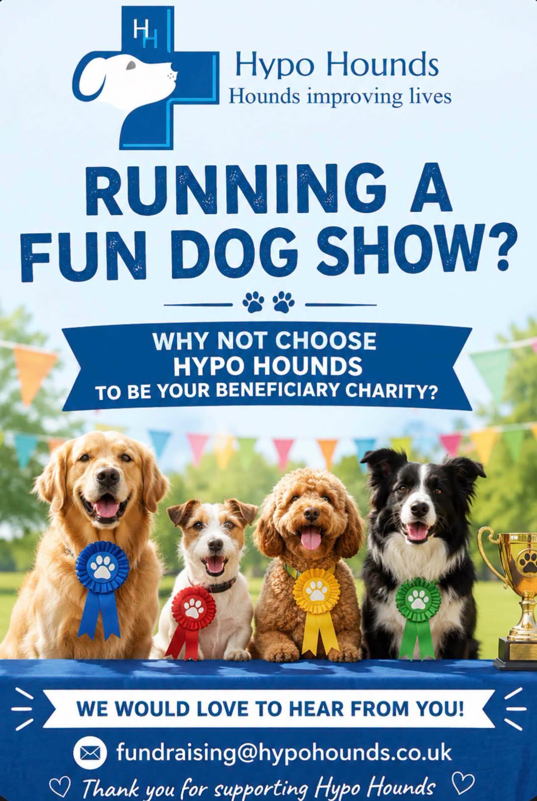 Hosting a Fun Dog Show? Make Hypo Hounds Your Chosen Charity